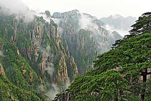 迷要怎么买淘宝暗语C1B8D97C5-18975